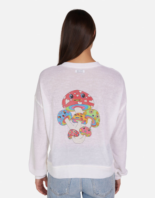 Talulla Magic Mushrooms