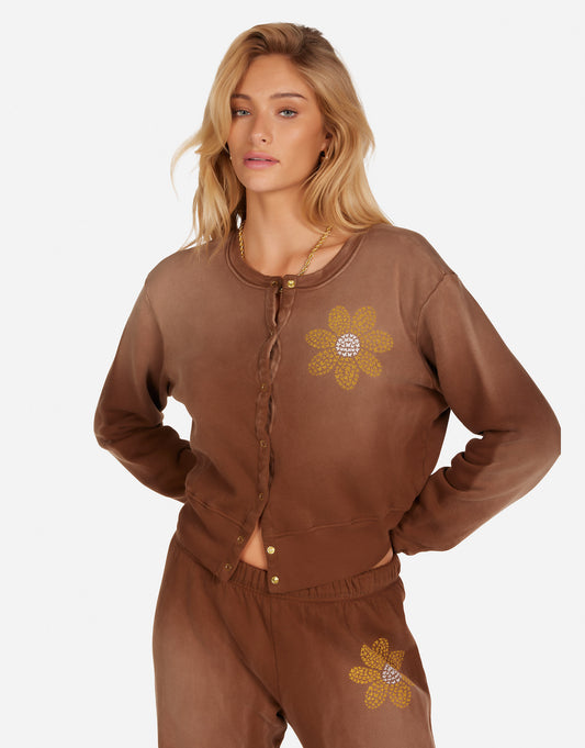 Arleta Butterfly Daisy