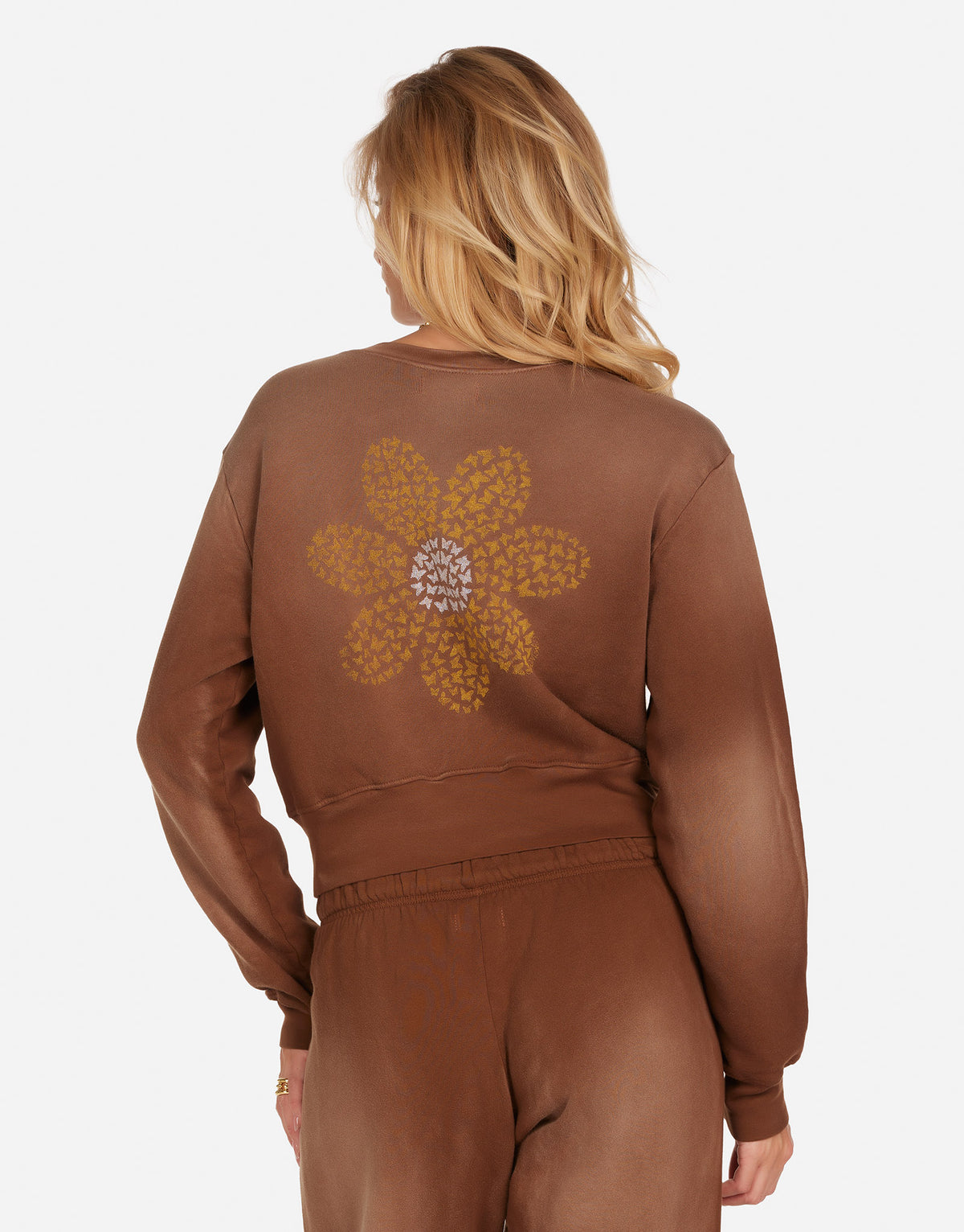 Arleta Butterfly Daisy