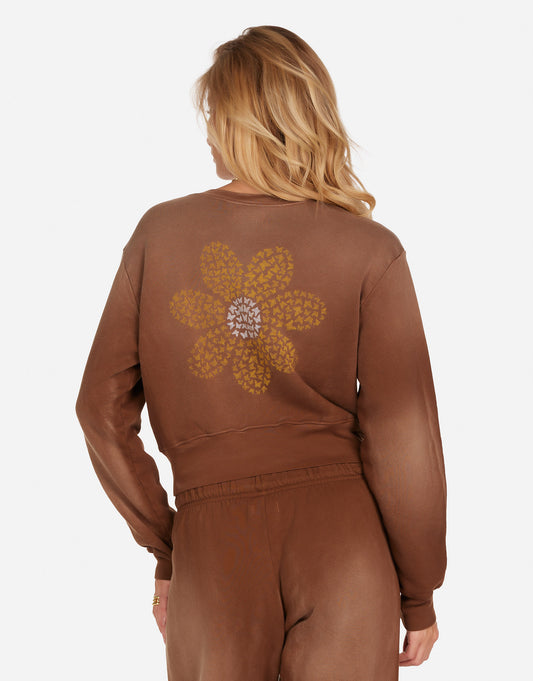 Arleta Butterfly Daisy