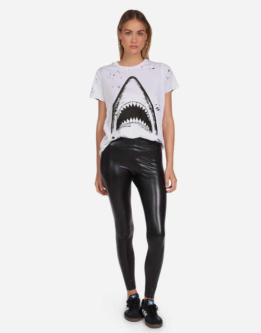 Shallan X Shark