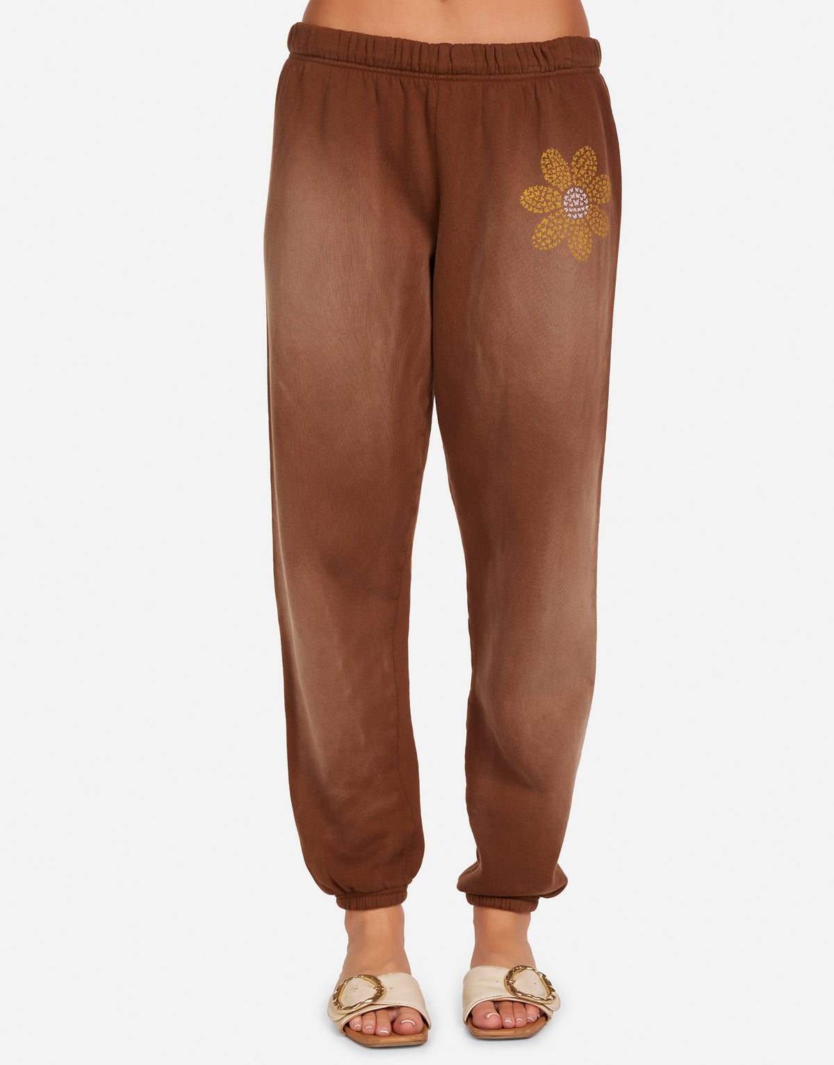 Tanzy Butterfly Daisy