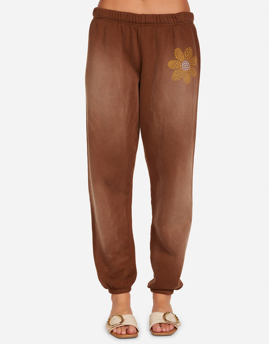 Tanzy Butterfly Daisy