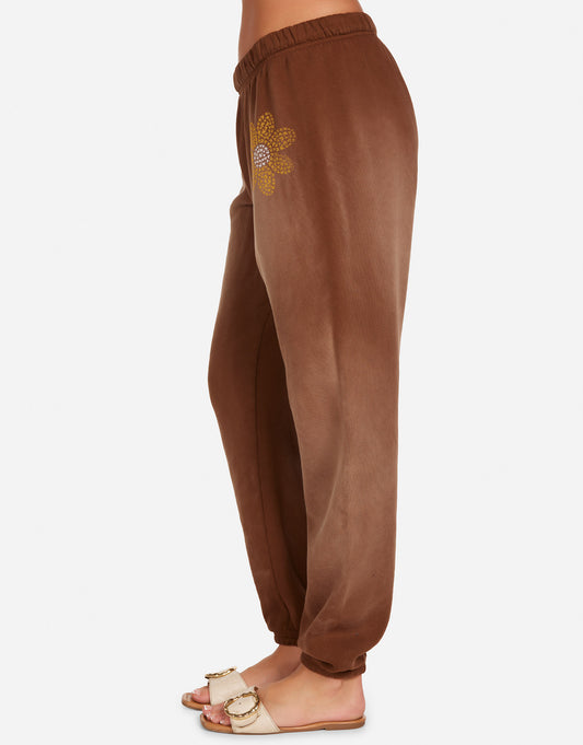 Tanzy Butterfly Daisy