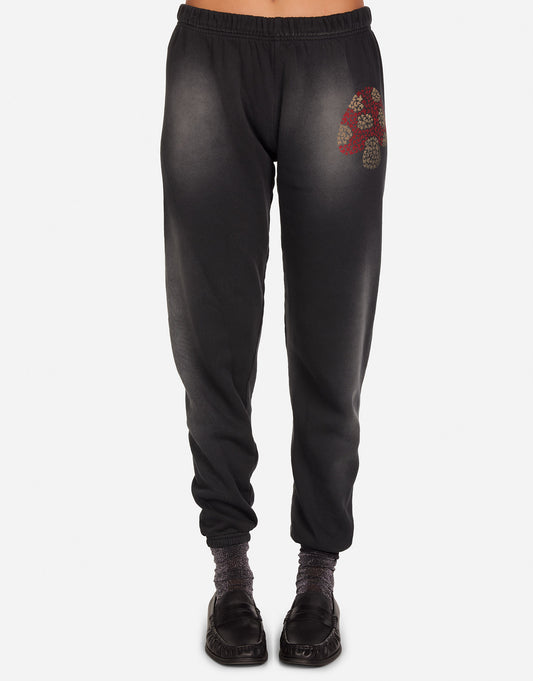 Tanzy Butterfly Mushroom