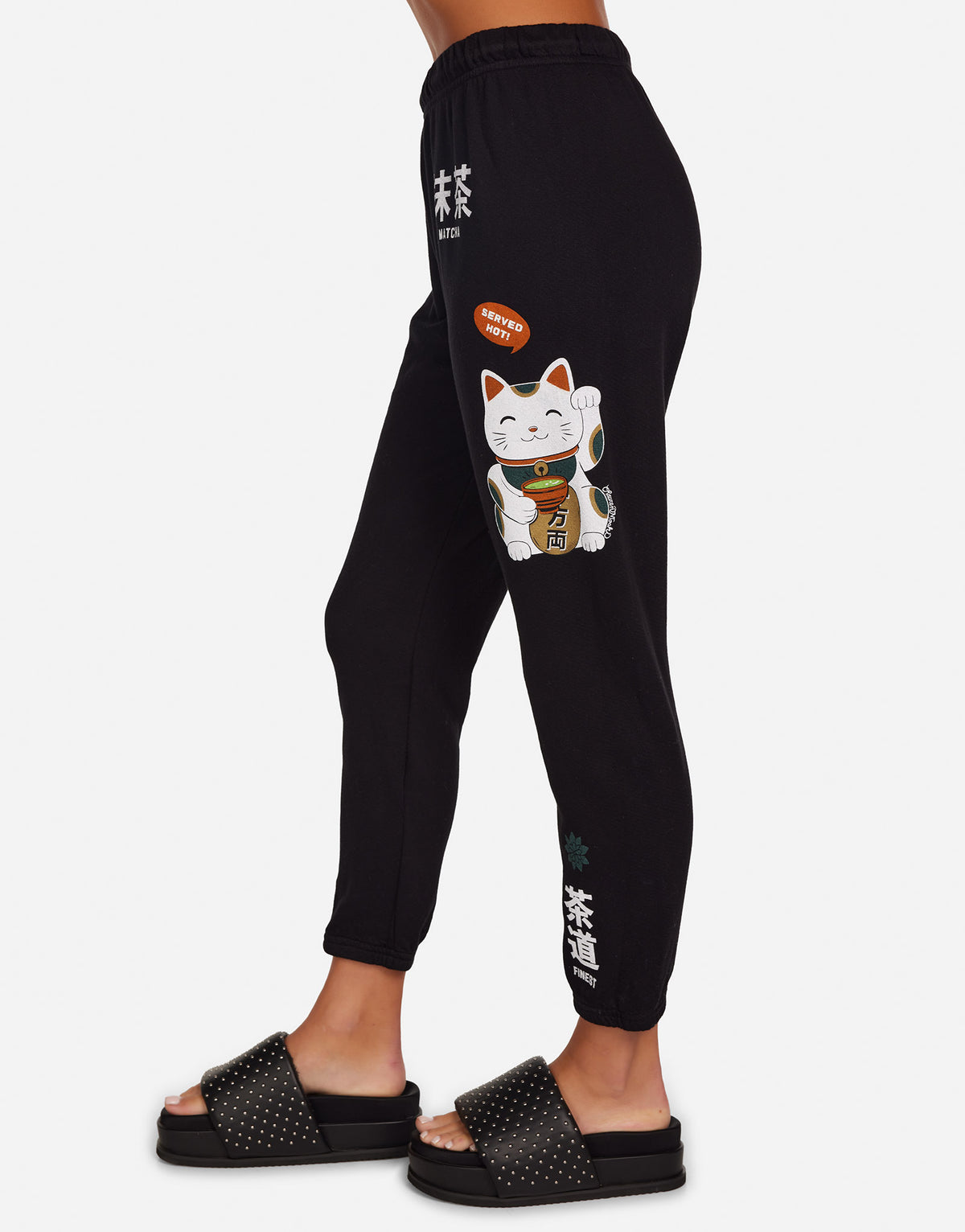 Alana Matcha Cat