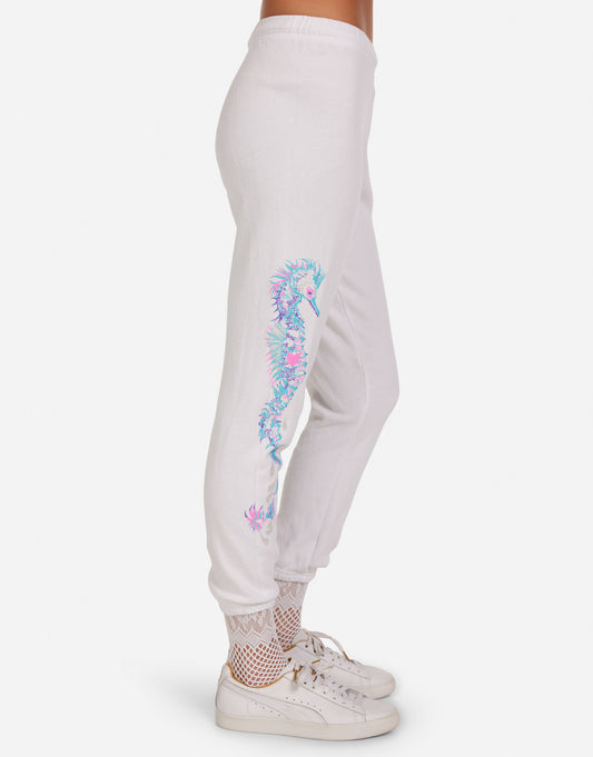 Alana Seahorse