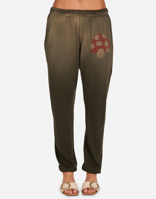 Chantria Butterfly Mushroom