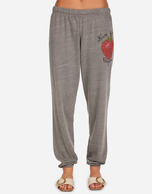 Tanzy Organic Strawberry